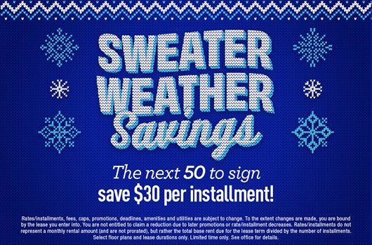 Sweater Weather Savings 