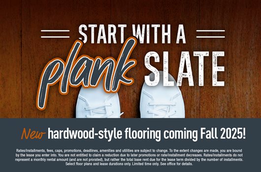 New Hardwood-Style Flooring