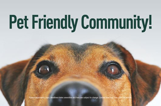 Pet Friendly Community!