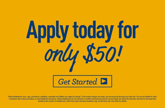 Apply today for only $50! Get started> 