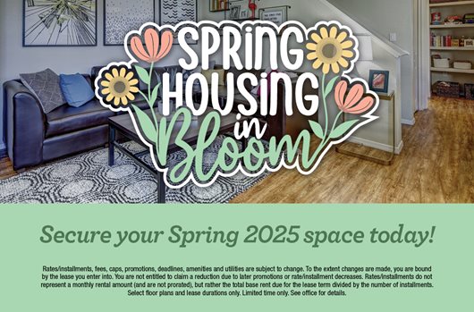 Spring Leasing 2025