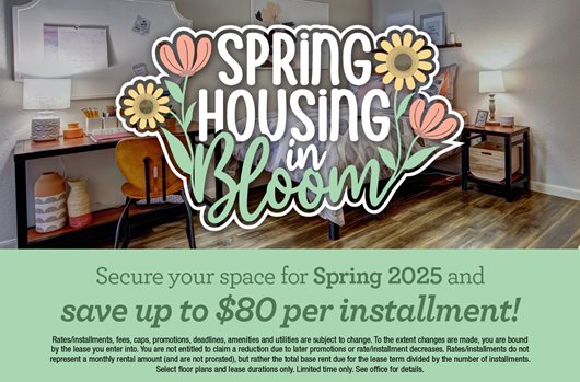 Spring Leasing 2025