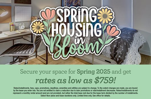 Spring Leasing 2025