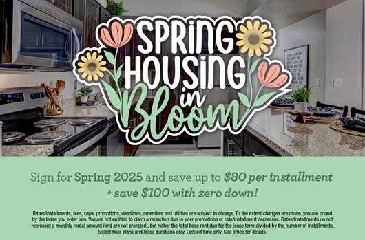 Spring Leasing 2025