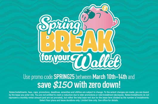 Spring Break Flash Sale. Use promo code SPRING25 3/10 - 3/14 and save $150 with zero down