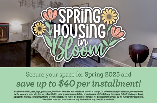 Spring Leasing 2025