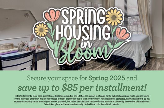 Spring Leasing 2025