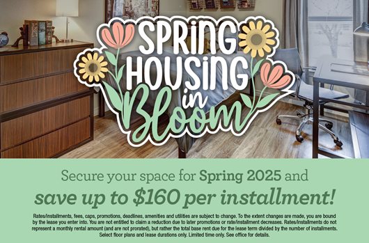 Spring Leasing 2025