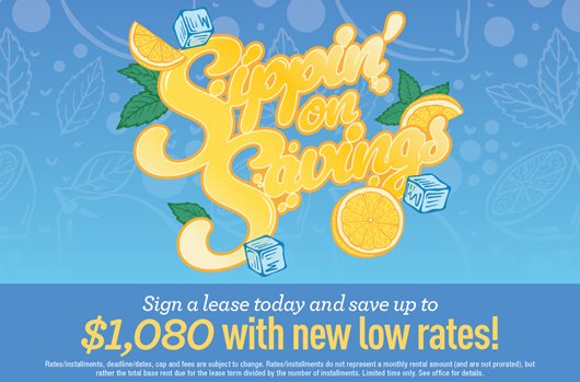 Sipping on Savings | Sign and save up to $1,080 with new low rates