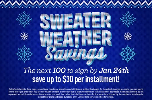 Sweater Weather Savings 