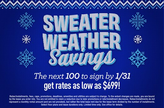 Sweater Weather Savings 