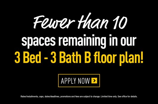 Fewer than 10 spaces remaining in our 3 Bed - 3 Bath B Floorplan!