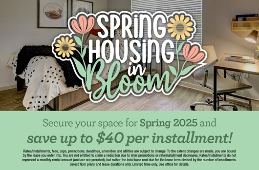 Spring Leasing 2025