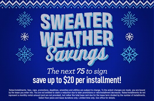 Sweater Weather Savings 