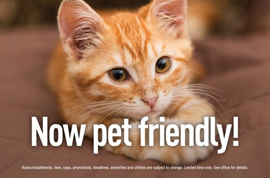 Now pet friendly!