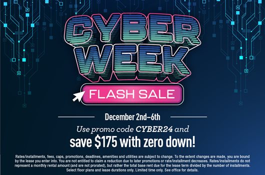 Cyber Week Flash Sale